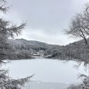 노섬브리아 이미지