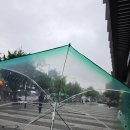 옐로우호프 | 스타벅스 돔우산 별 20개로 무료 교환! 이벤트 기간·교환 방법·실물 후기