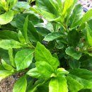 영덕농장 이미지