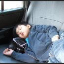 (주)엘엠에스 | [스크랩] 4월 마지막주에 아침가리를 가다