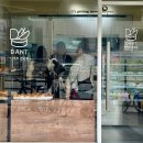 단트(DANT)