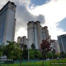 퍼스트 하임 공인중개사사무소 이미지