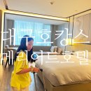 1114 | 대구 메리어트 호텔 호캉스 후기(1114호 객실)