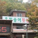 옥동송어집