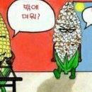 요기초장집어때