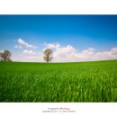 느티나무목장 이미지