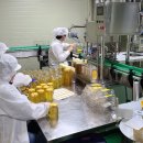 시골농장 이미지