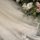 (주)아이티서브 | 모모스냅/ 아이폰스냅/ 가성비업체/내돈내산