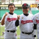 뿌리깊은나무 이미지