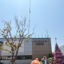 바베큐팩토리거북섬점 | 바베큐팩토리 거북섬점 휴일에 엄마랑 남편이랑 다녀온 캠핑식당 체험후기❤️