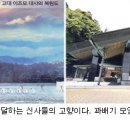 웅상신-2007 Daum카페