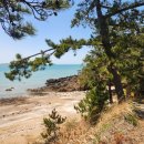 바다여행캠핑장 이미지