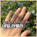 라벨라 | 충주네일 네일라벨라 유목민 정착하게 만든 자석젤 후기