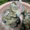 순애민박 티스토리