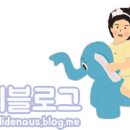 미용할개 네이버블로그