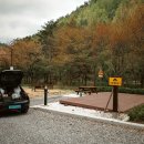 태백고원자연휴양림 자동차야영장 이미지