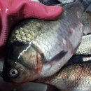택시건강원
