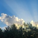 한림배수장 공중화장실 이미지