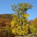 여주-1018 이미지