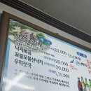 원풍 - 순천시 | 태안 원풍식당 낙지볶음과 낙지탕 내돈내산 솔직후기