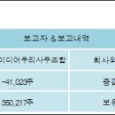 이즈미디어주
