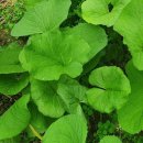 효민농장 이미지