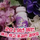 이더블유에스 네이버블로그