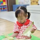 충주시립옹달샘어린이집 네이버블로그