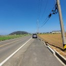 제주땅도집도OK공인중개사사무소 이미지