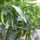 희망찬농장 이미지