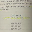 하브 이미지