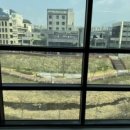 키즈mma짐 이미지