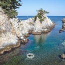 멍베스트 이미지