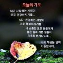 굿모닝코리아 이미지