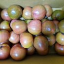 은율농장 이미지