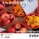 은성청과