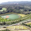 베이스볼파크 이미지