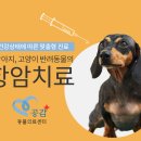 플러스동물의료센터 이미지