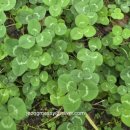 동탄원천로915번길 이미지