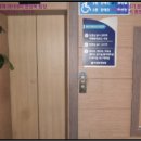 화니핀헤어