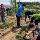 천두농장 이미지