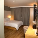 브라운도트 이미지