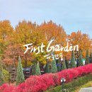 별빛산장 | 파주단풍 구경, 가을빛 물든 퍼스트가든과 웨딩 후기