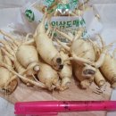 금산1세천 이미지