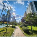 서희공인중개사사무소 | 빌라매매 서희코뿔소 공인중개사사무소, 진심 어린 믿음을 주다