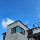 감꽃향흩날리는 이미지