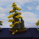 농업기술센터앞 이미지