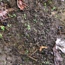 기창농장 이미지