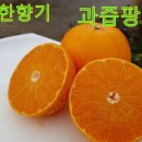 현이네과일 이미지