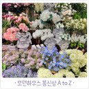모던하우스 봄신상 A to Z 집 분위기 확 달라짐!